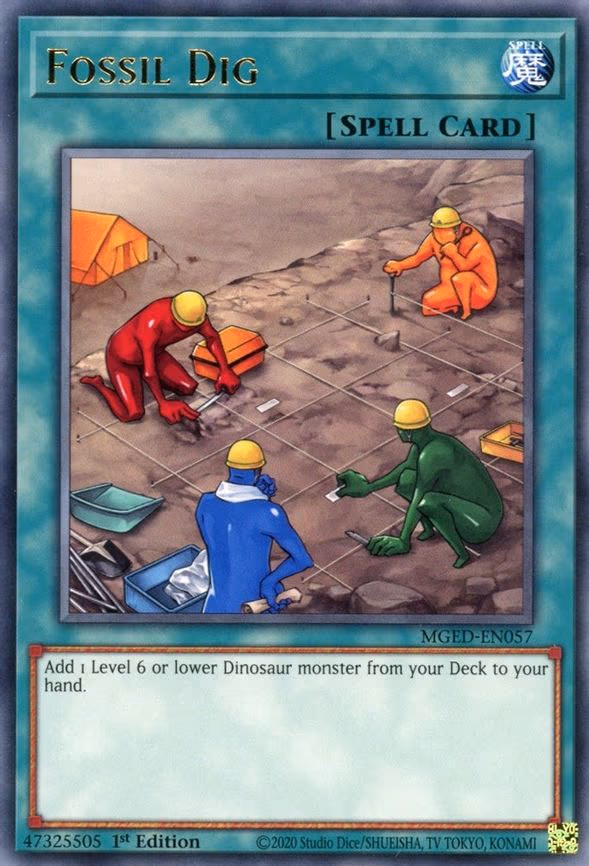 Fossil Dig