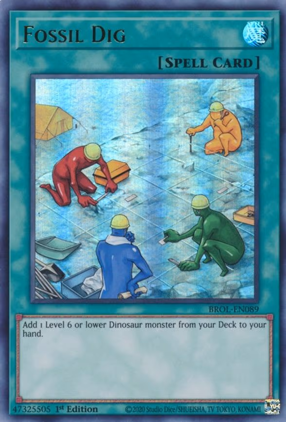 Fossil Dig
