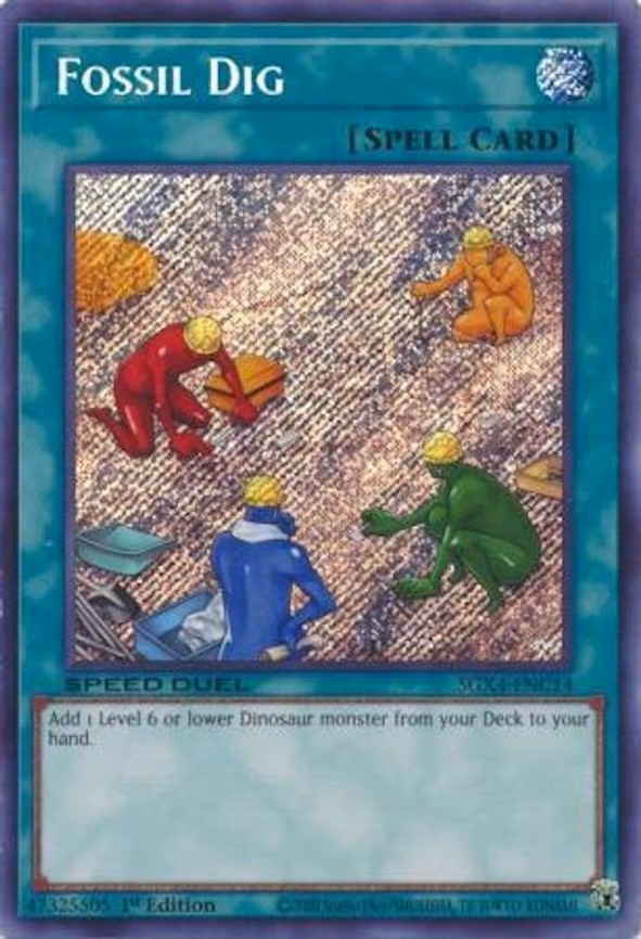 Fossil Dig