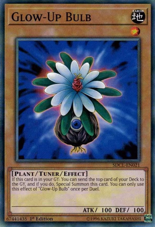 Glow-Up Bulb