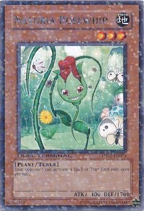 Naturia Rosewhip