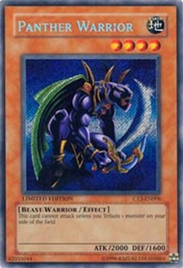 Panther Warrior