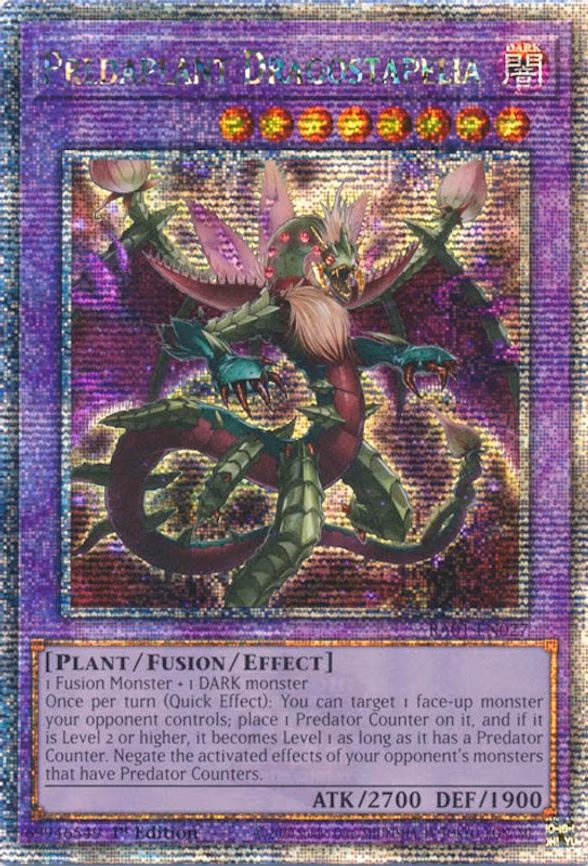 Predaplant Dragostapelia