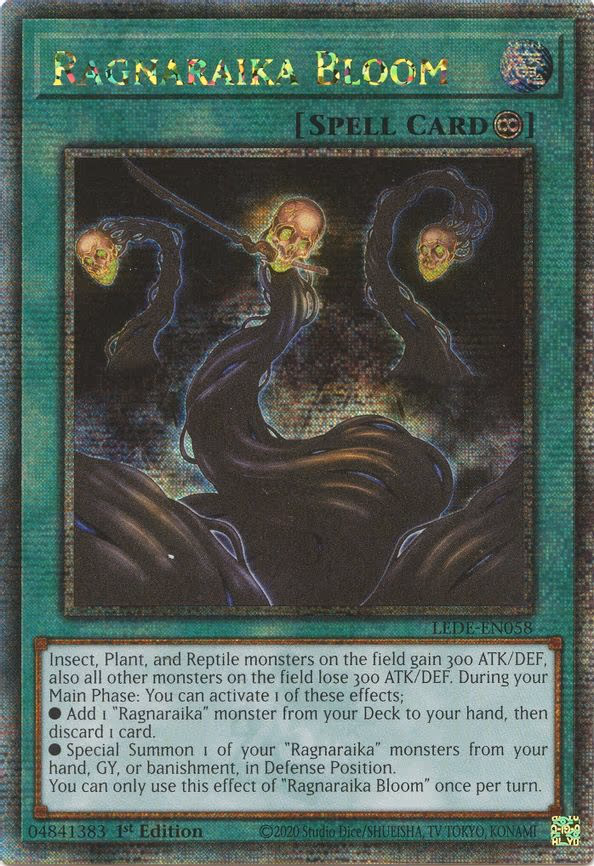 Ragnaraika Bloom
