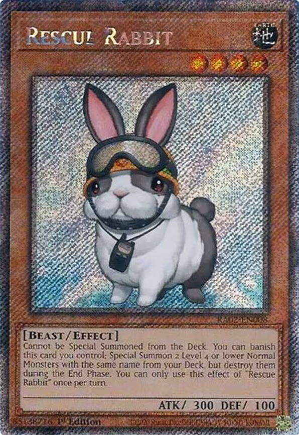 Rescue Rabbit