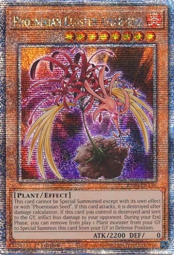 Phoenixian Cluster Amaryllis